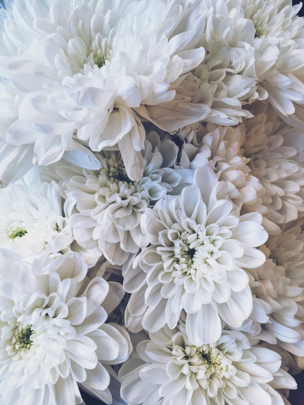 Coroas de flores